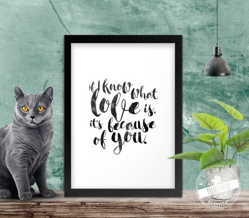 If I know what love is, it's because of you - Print