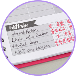 ziele-planer-life-planner-fokus-planer-indivdualisierbarer-kalender-taschenkalender-selbst-gestalten-personalisiert-307