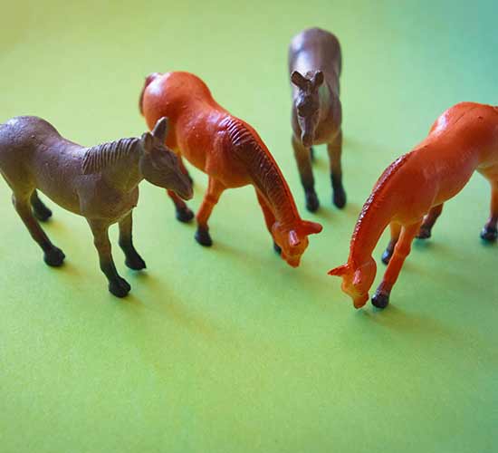 Kindergeburtstag Ponyhof, Geburtstagsspiele, Ideen Kindergeburtstag Pferdegeburtstag